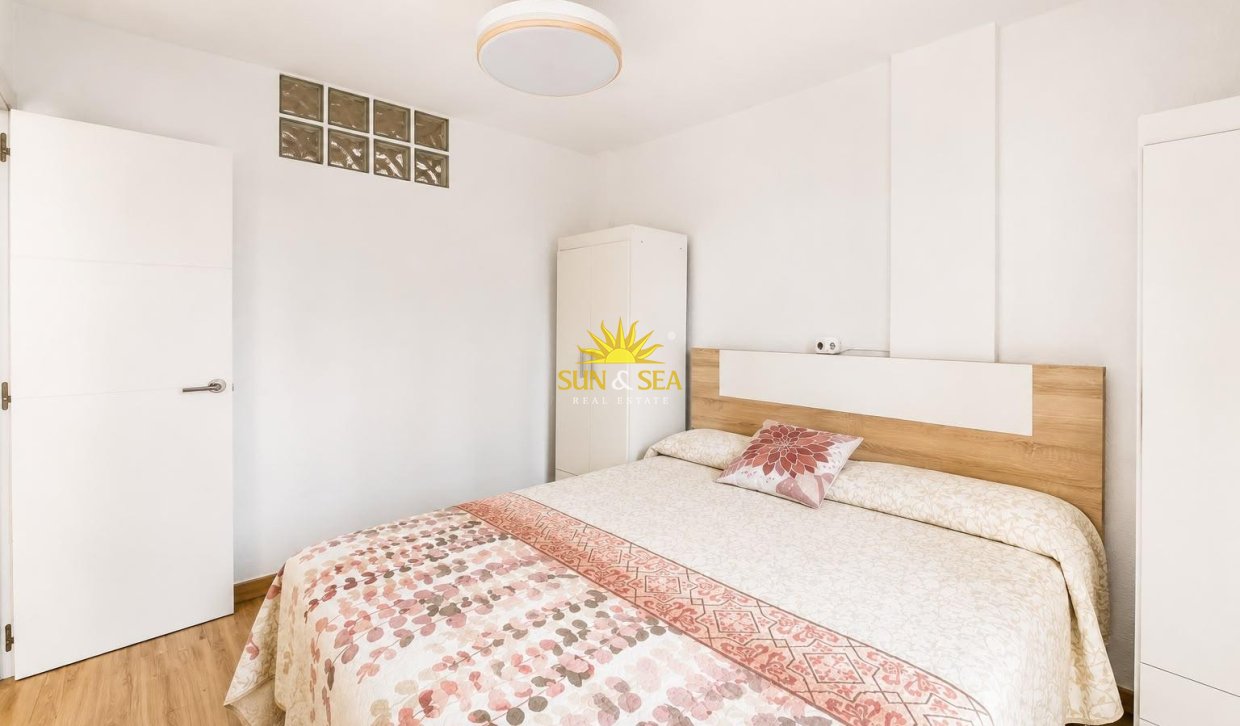 Alquiler de invierno - Apartamento - Torrevieja - torrevieja