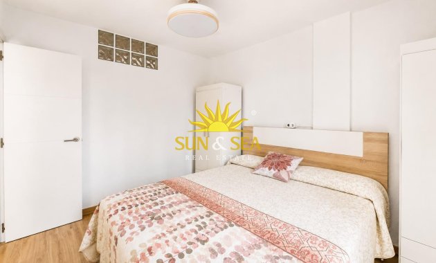 Alquiler de invierno - Apartamento - Torrevieja - torrevieja