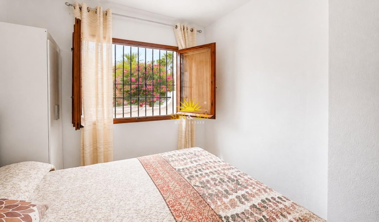 Alquiler de invierno - Apartamento - Torrevieja - torrevieja