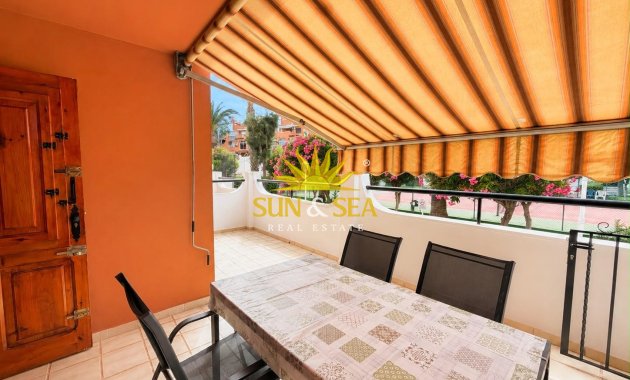 Alquiler de invierno - Apartamento - Torrevieja - torrevieja