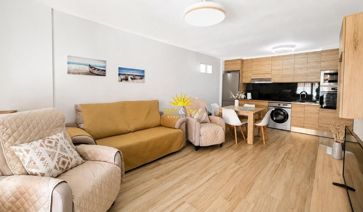 Alquiler de invierno - Apartamento - Torrevieja - torrevieja