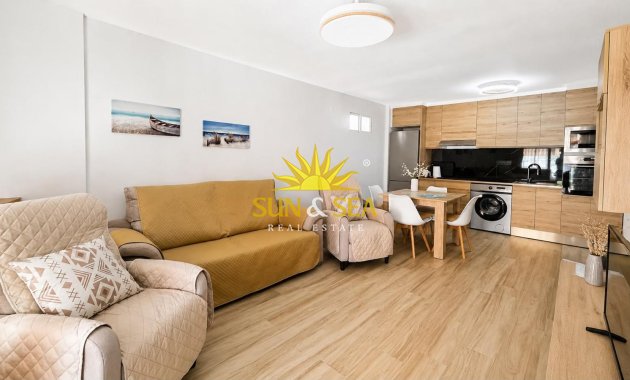 Alquiler de invierno - Apartamento - Torrevieja - torrevieja