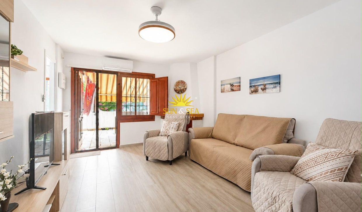 Alquiler de invierno - Apartamento - Torrevieja - torrevieja