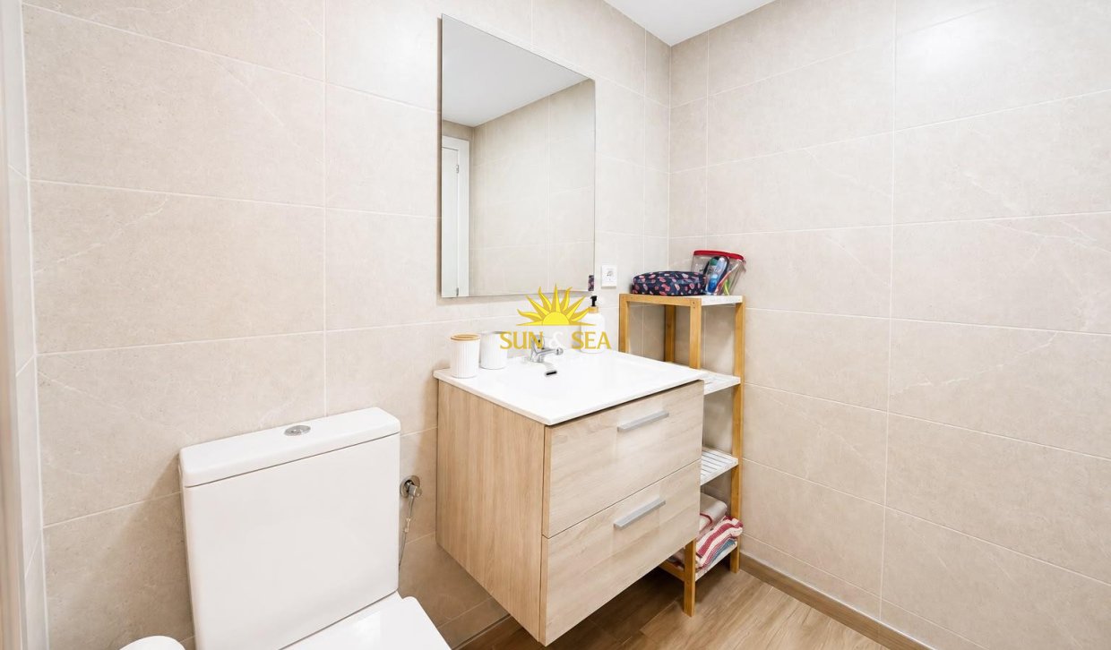 Alquiler de invierno - Apartamento - Torrevieja - torrevieja
