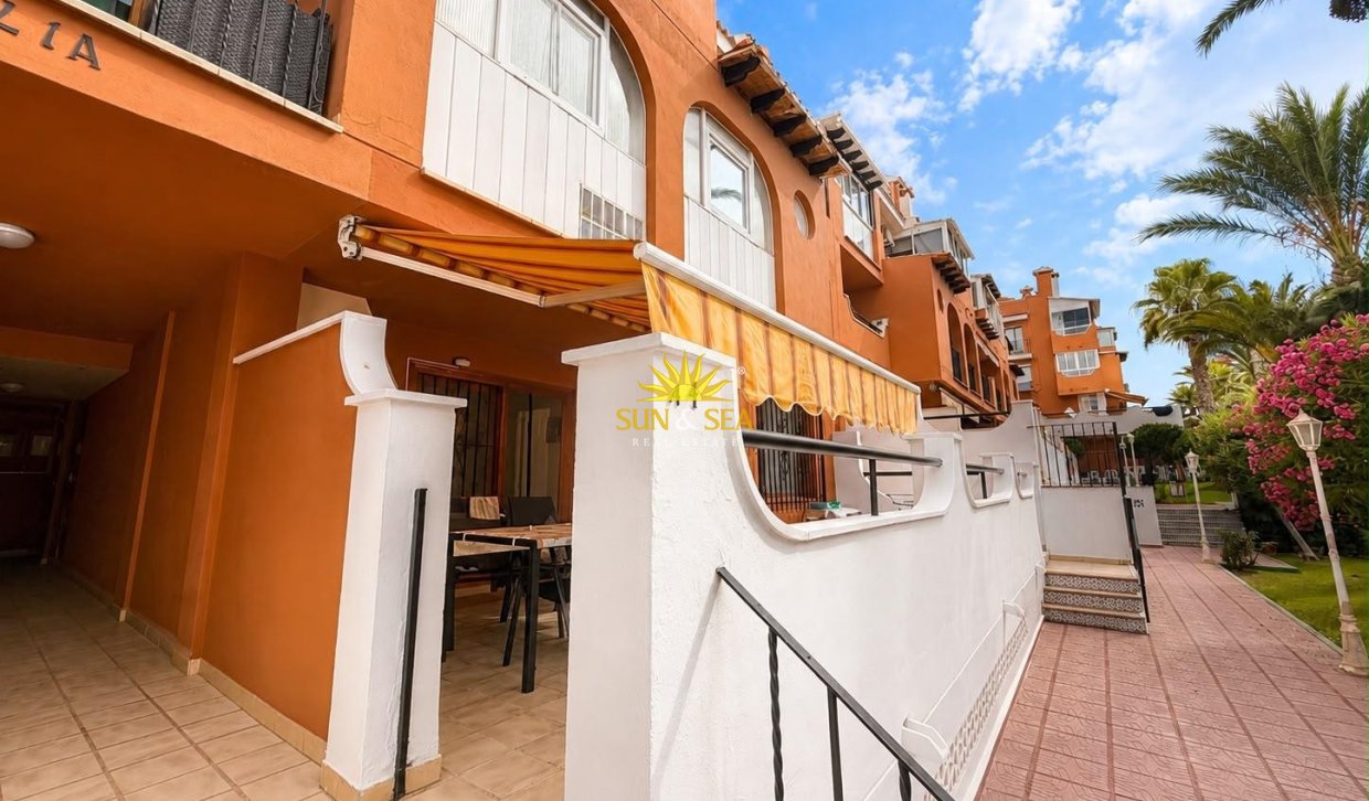 Alquiler de invierno - Apartamento - Torrevieja - torrevieja