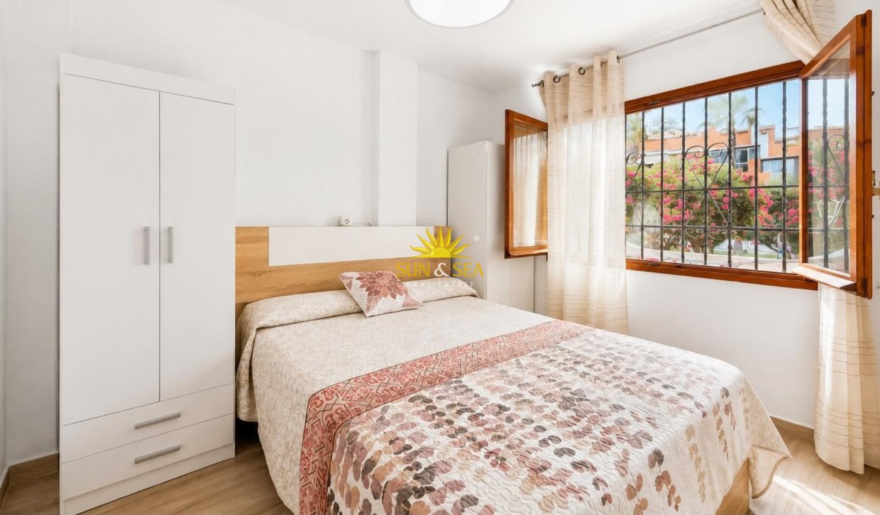 Alquiler de invierno - Apartamento - Torrevieja - torrevieja