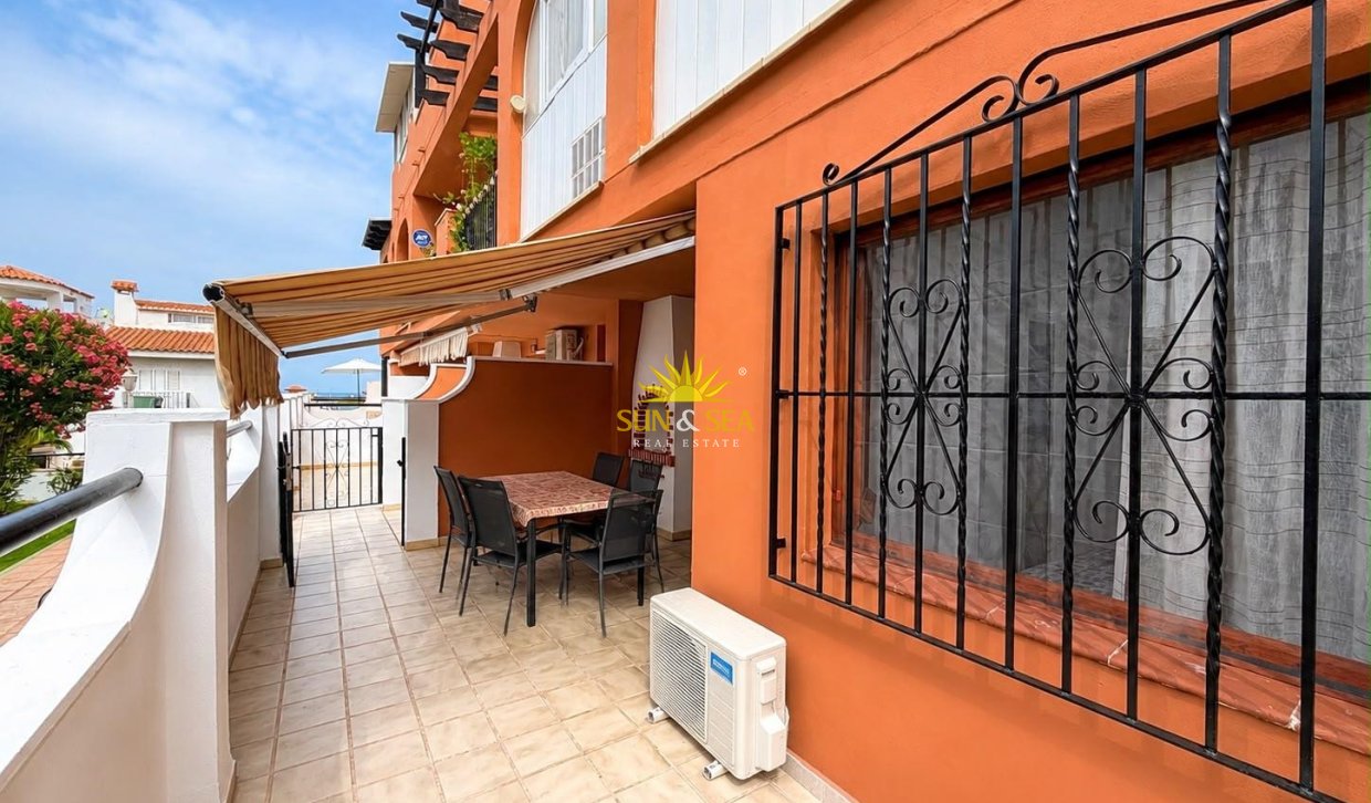 Alquiler de invierno - Apartamento - Torrevieja - torrevieja