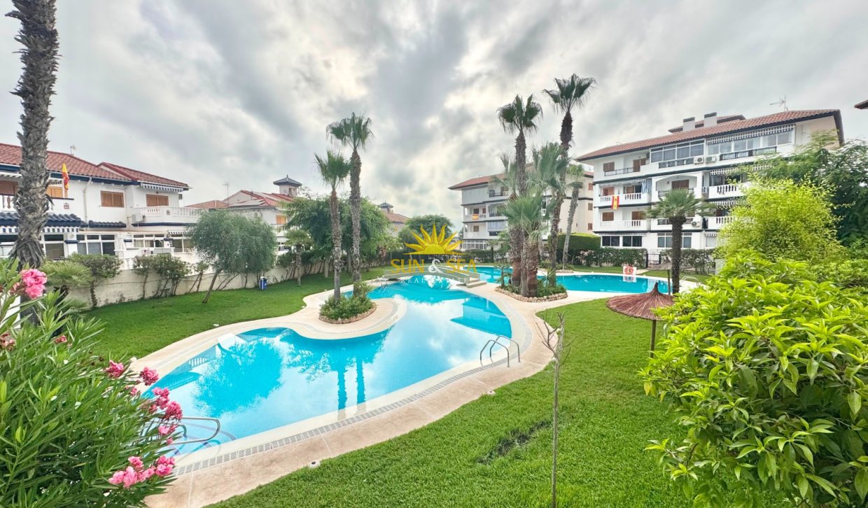 Alquiler a largo plazo - Apartamento - Torrevieja - torrevieja