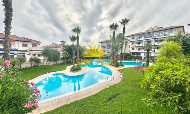 Alquiler a largo plazo - Apartamento - Torrevieja - torrevieja