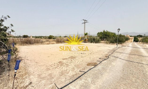 Reventa - Parcela -  - Cox
