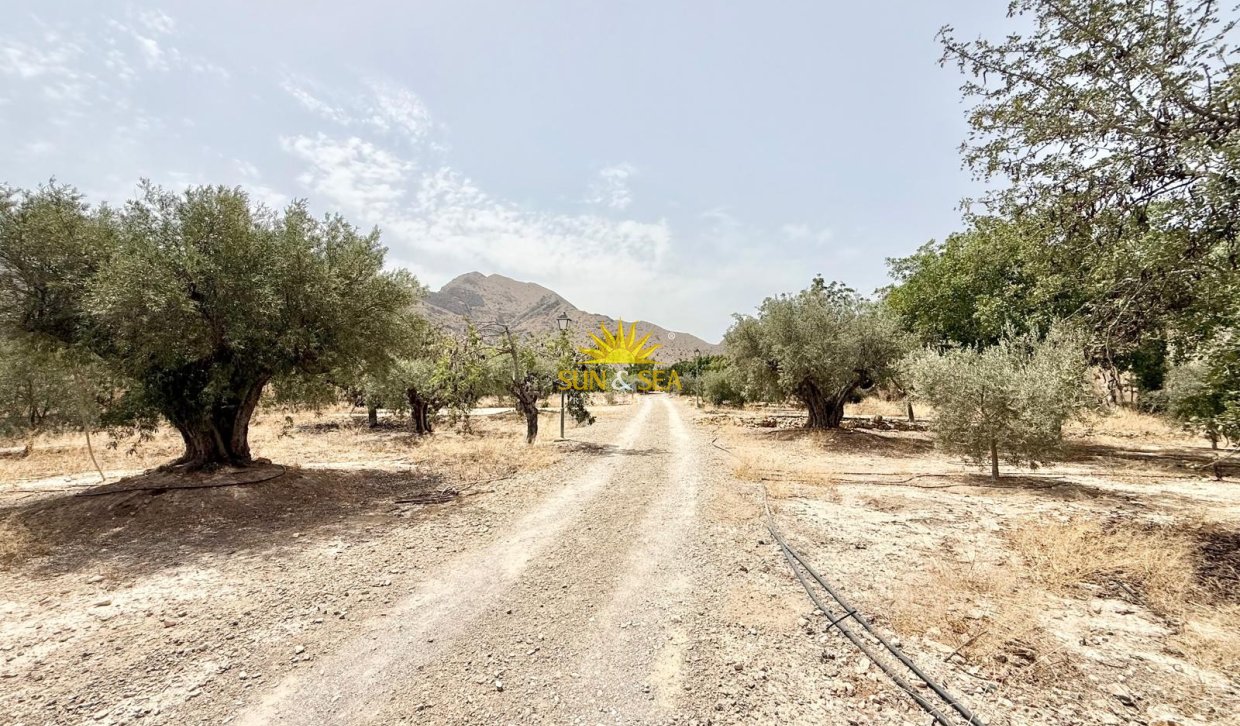Reventa - Parcela -  - Cox