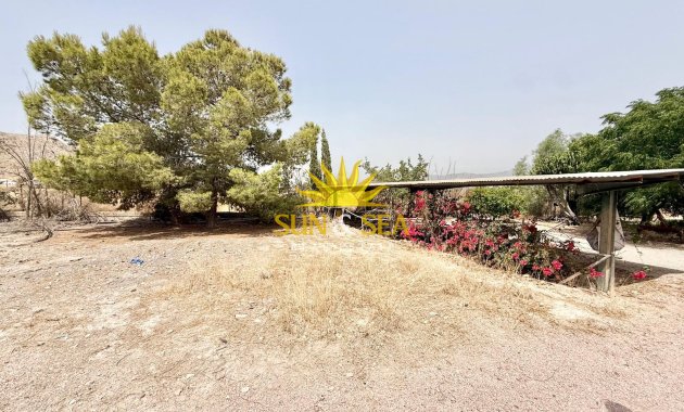 Reventa - Parcela -  - Cox