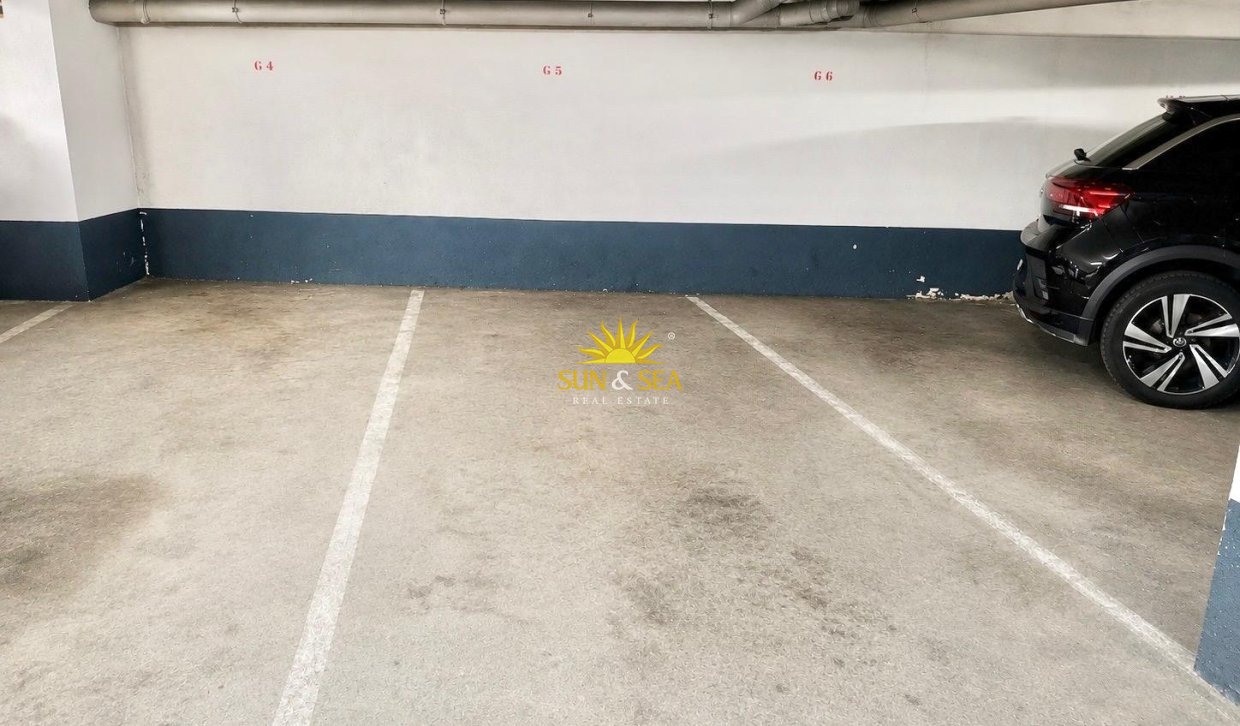 Alquiler a largo plazo - Apartamento - Alicante (Alacant)