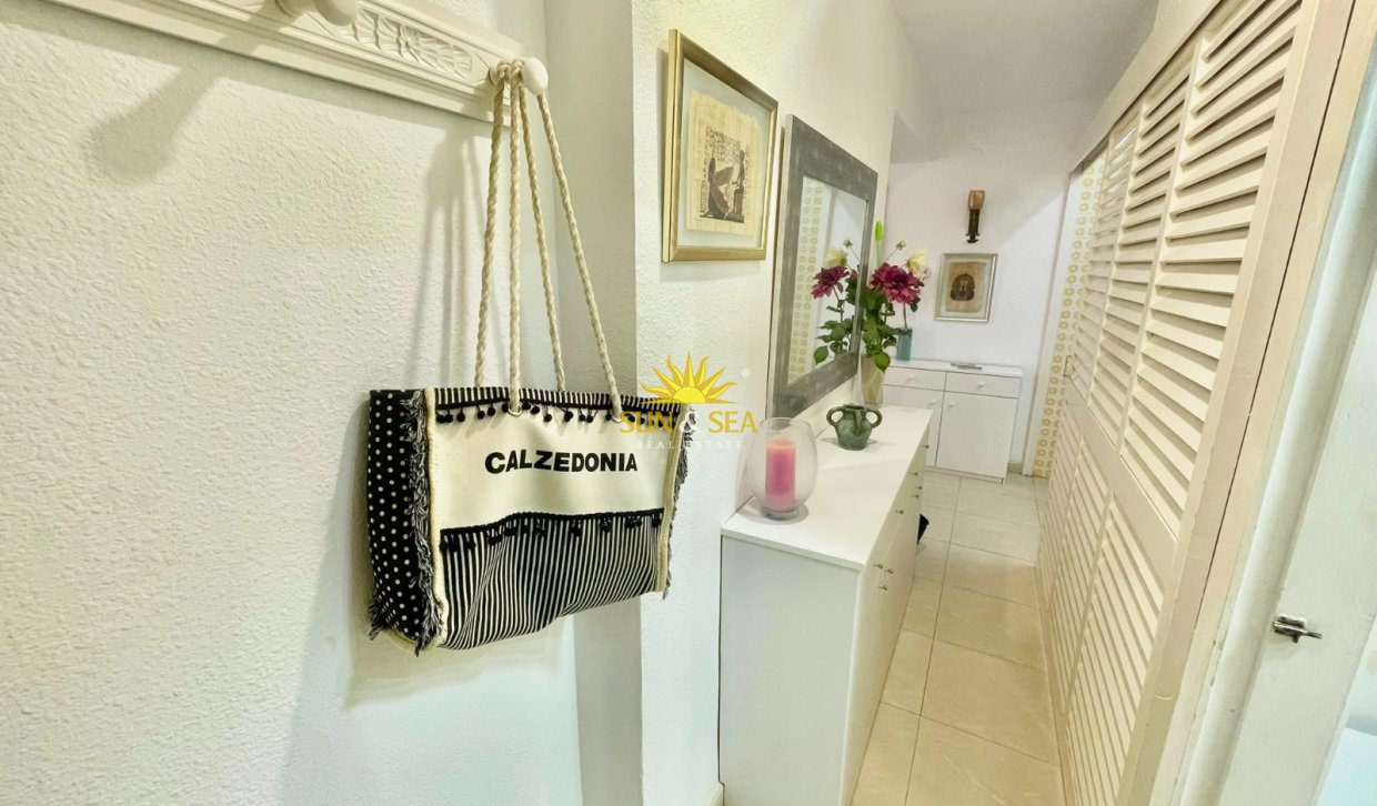 Alquiler de invierno - Estudio - Orihuela Costa - Dehesa de campoamor