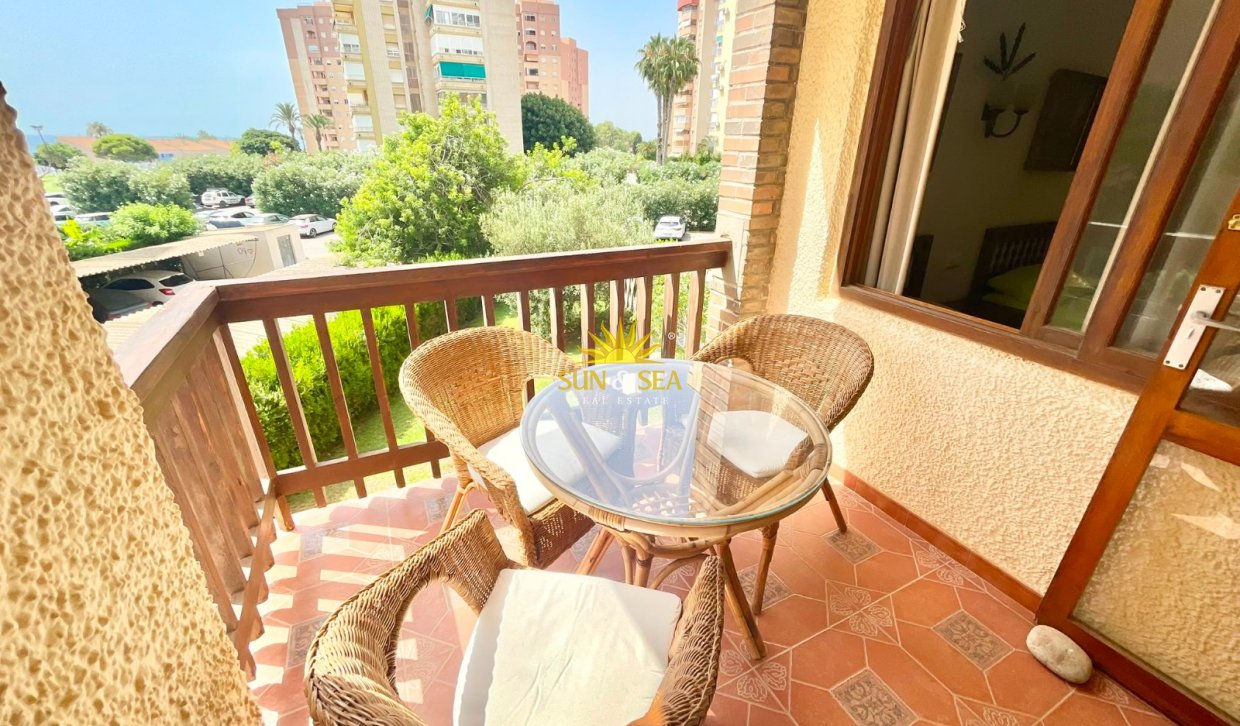 Alquiler de invierno - Estudio - Orihuela Costa - Dehesa de campoamor