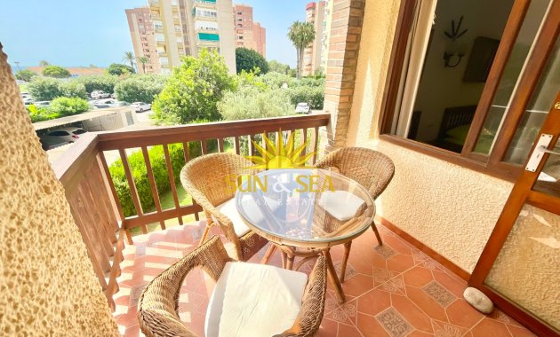 Alquiler de invierno - Estudio - Orihuela Costa - Dehesa de campoamor