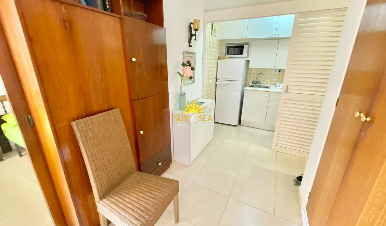 Alquiler de invierno - Estudio - Orihuela Costa - Dehesa de campoamor