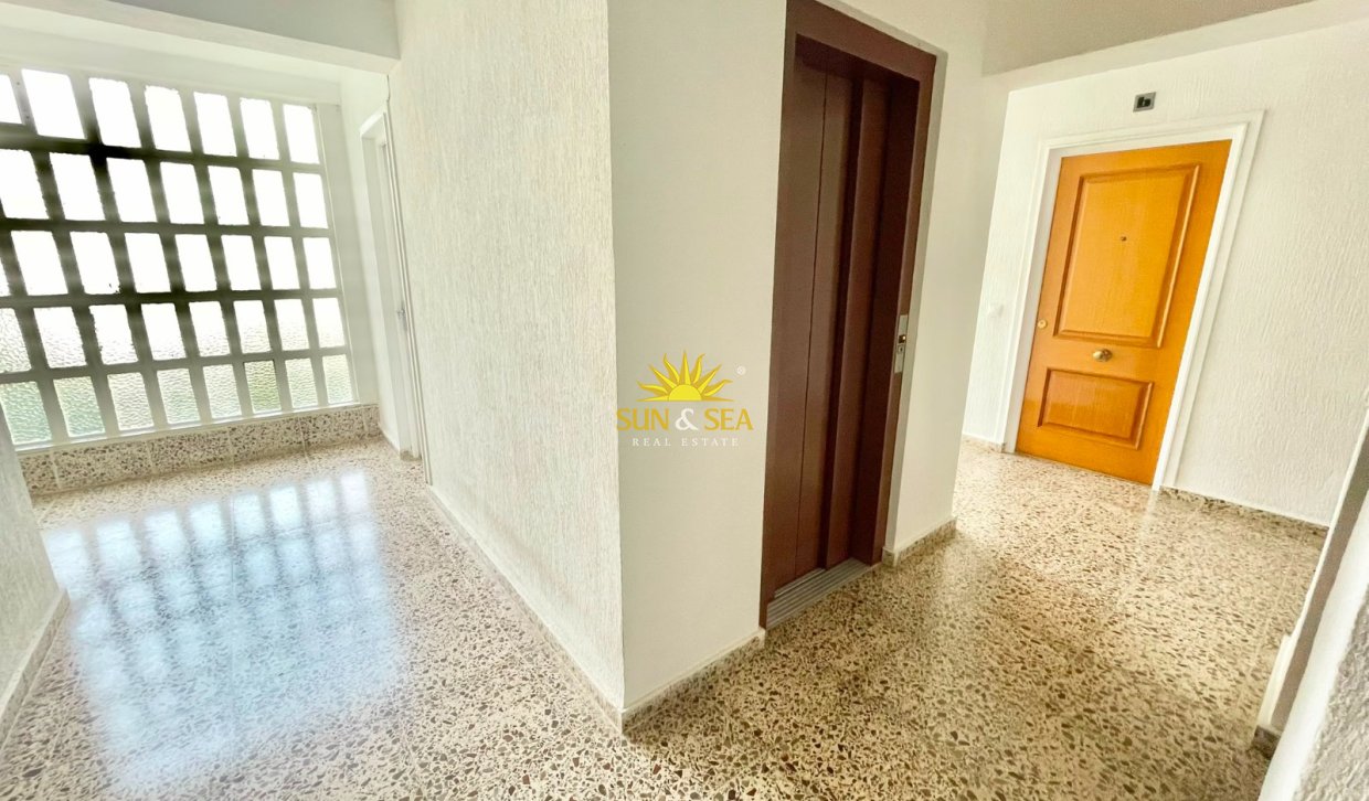 Alquiler de invierno - Estudio - Orihuela Costa - Dehesa de campoamor