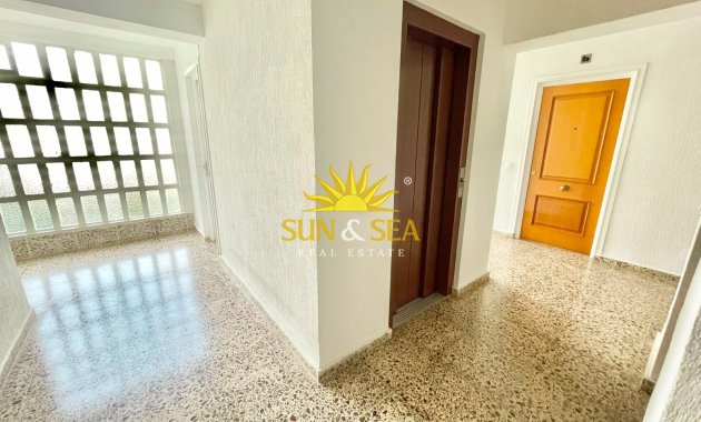 Alquiler de invierno - Estudio - Orihuela Costa - Dehesa de campoamor