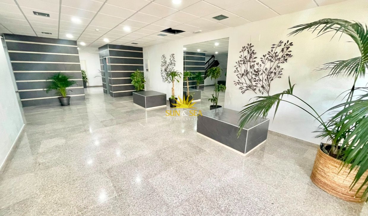 Alquiler de invierno - Estudio - Orihuela Costa - Dehesa de campoamor