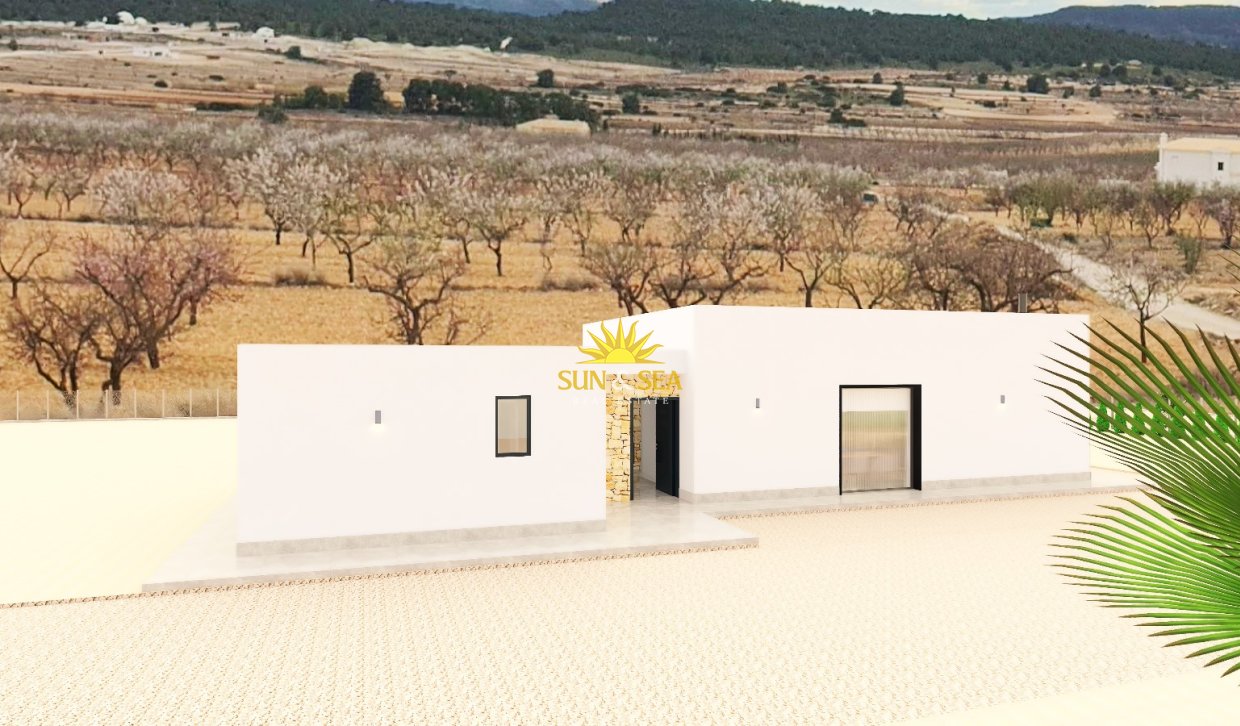 Obra nueva - detached - Pinoso
