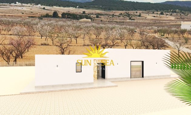 Obra nueva - detached - Pinoso