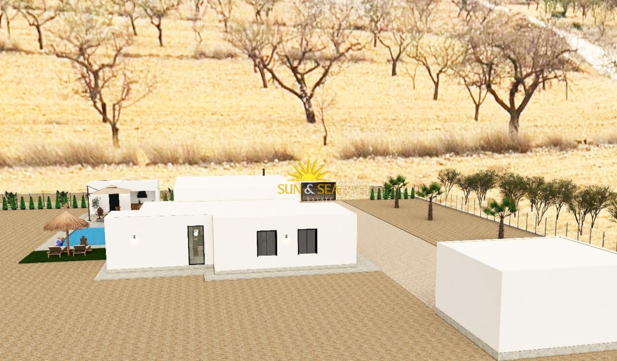 Obra nueva - detached - Pinoso