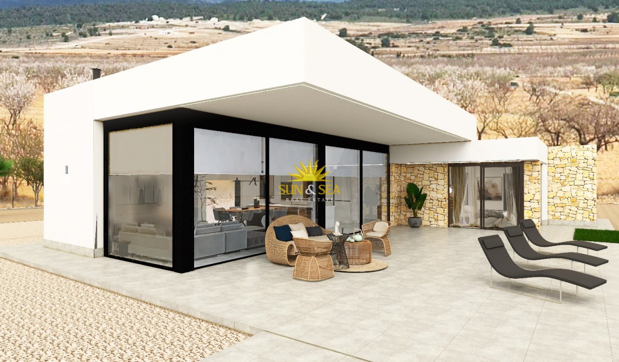Obra nueva - detached - Pinoso