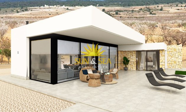 Obra nueva - detached - Pinoso
