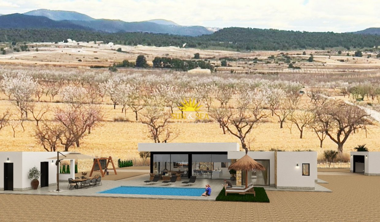 Obra nueva - detached - Pinoso