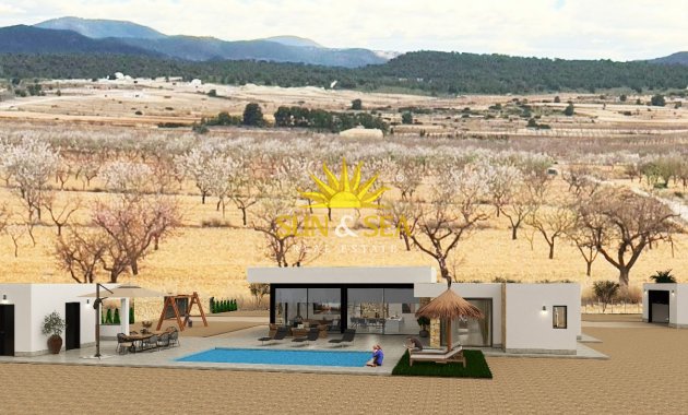 Obra nueva - detached - Pinoso