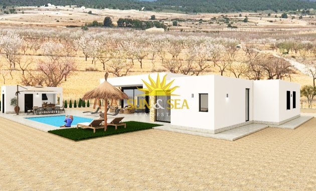 Obra nueva - detached - Pinoso