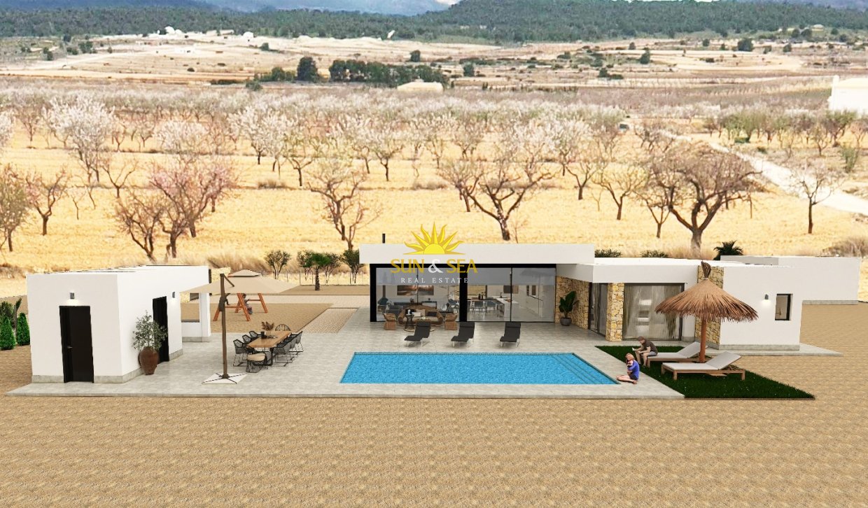 Obra nueva - detached - Pinoso