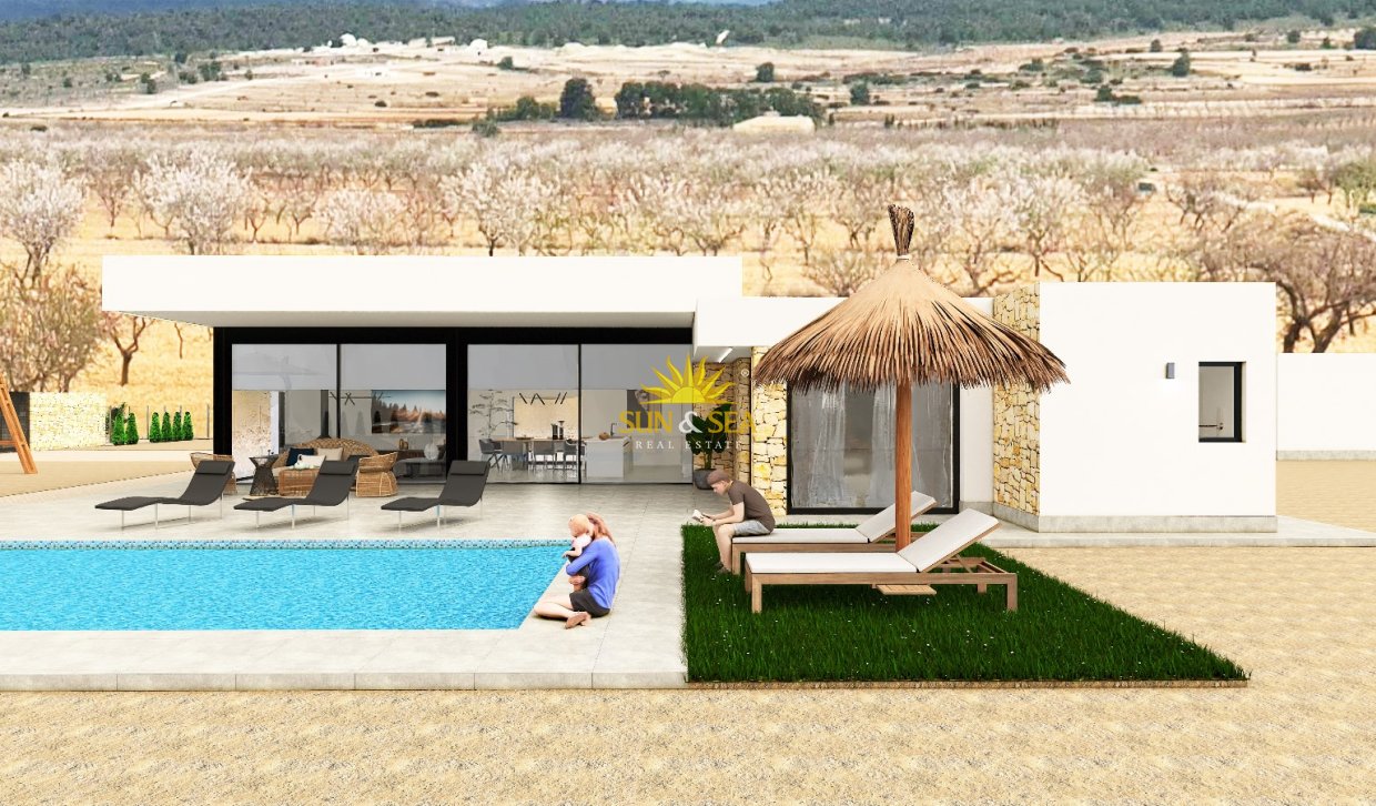 Obra nueva - detached - Pinoso