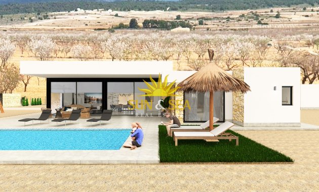 Obra nueva - detached - Pinoso