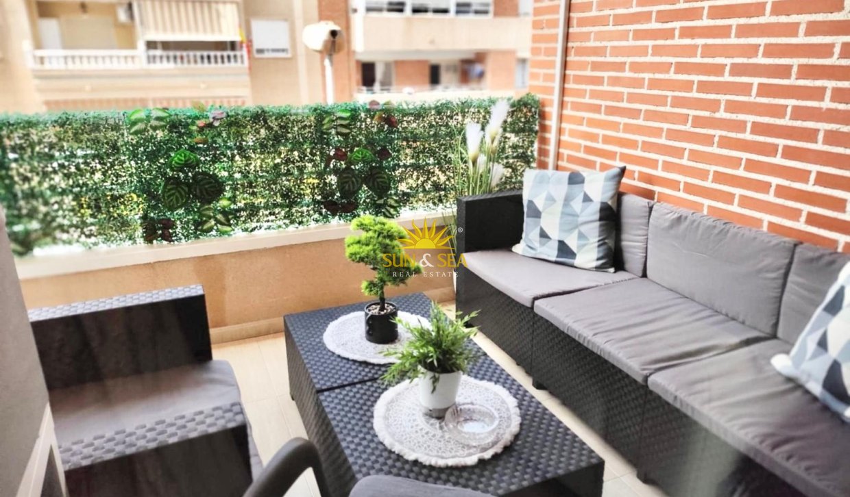 Alquiler a largo plazo - Apartamento - Torrevieja - torrevieja