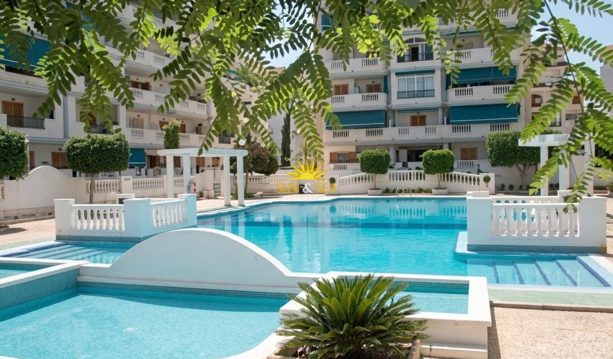 Alquiler a largo plazo - Apartamento - Torrevieja - torrevieja