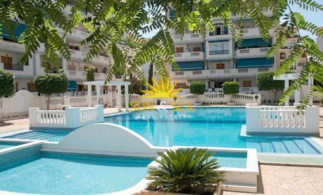 Alquiler a largo plazo - Apartamento - Torrevieja - torrevieja
