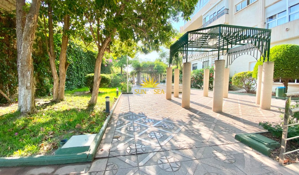 Alquiler de invierno - Apartamento - Alicante - Playa San Juan