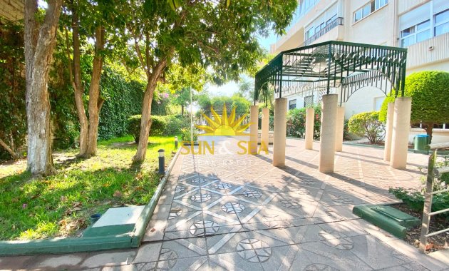Alquiler de invierno - Apartamento - Alicante - Playa San Juan