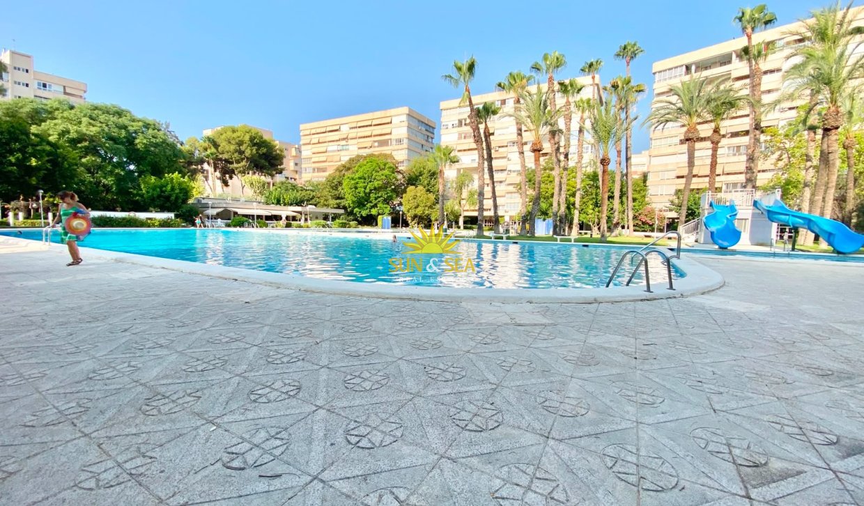 Alquiler de invierno - Apartamento - Alicante - Playa San Juan