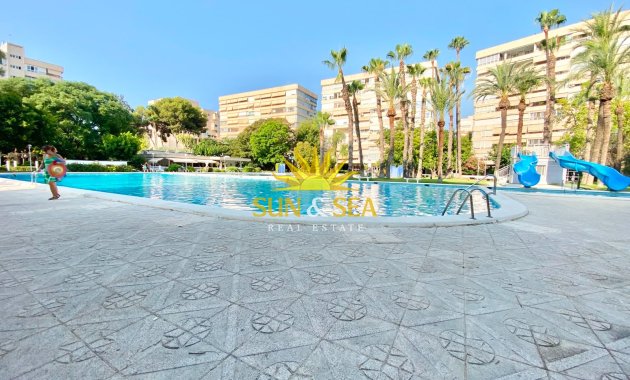 Alquiler de invierno - Apartamento - Alicante - Playa San Juan