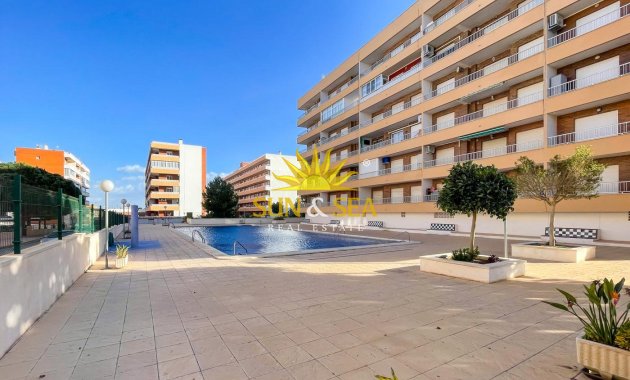 Revente - Penthouse - Torrevieja - Punta prima
