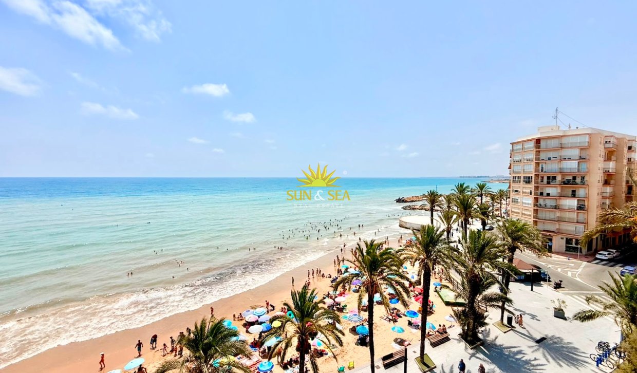 Long Term Rental - Apartment - Torrevieja - torrevieja