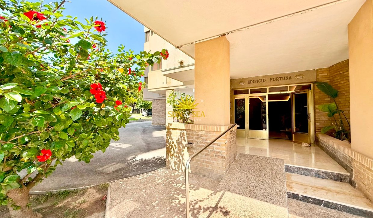 Location à long terme - Appartement - Alicante (Alacant)