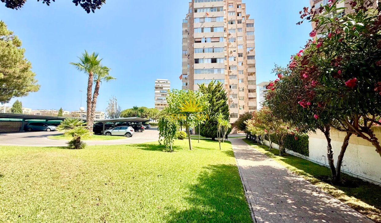 Location à long terme - Appartement - Alicante (Alacant)