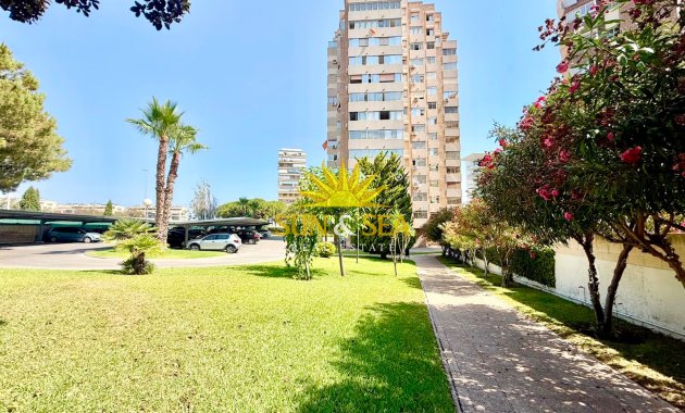 Location à long terme - Appartement - Alicante (Alacant)