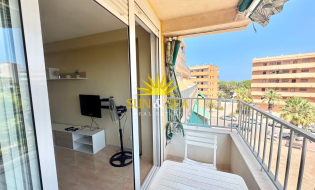 Long Term Rental - Apartment - Guardamar del Segura - Pinomar