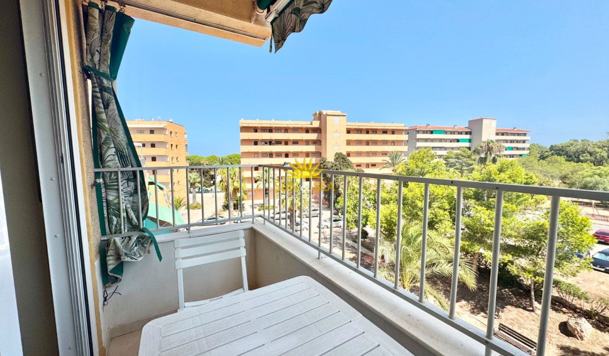 Long Term Rental - Apartment - Guardamar del Segura - Pinomar