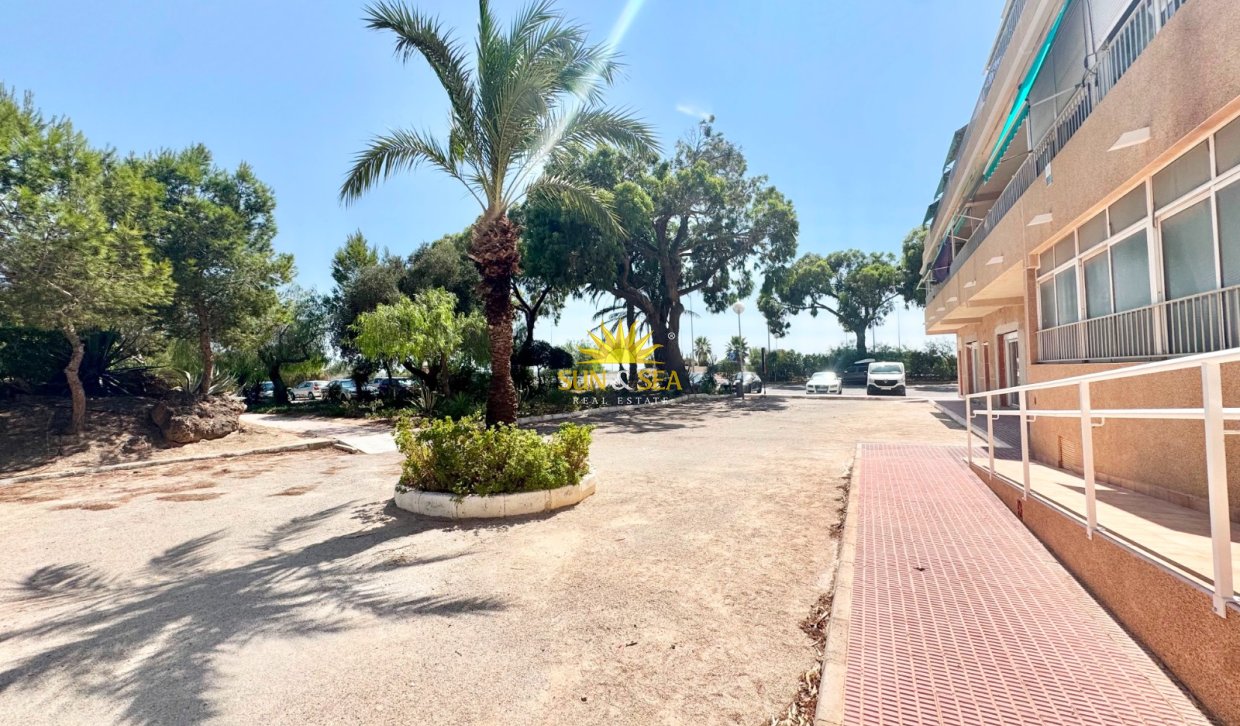 Long Term Rental - Apartment - Guardamar del Segura - Pinomar